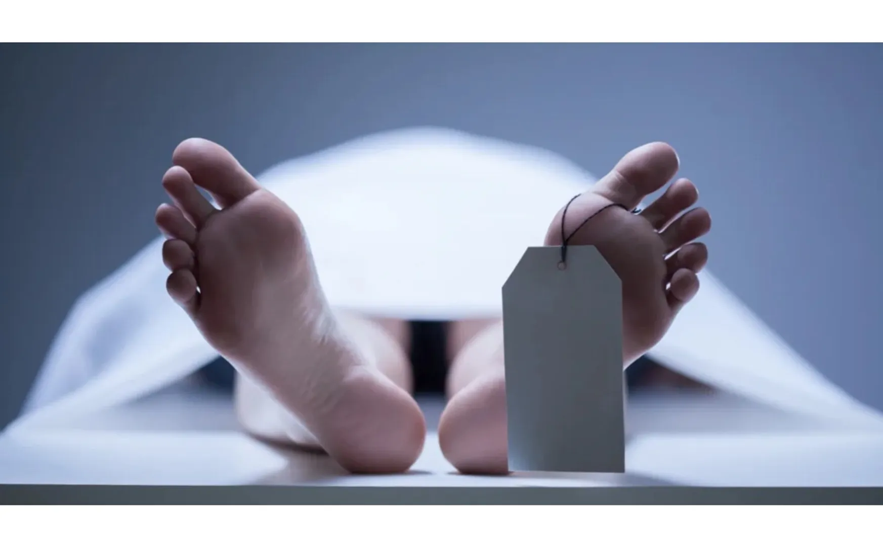 corpse